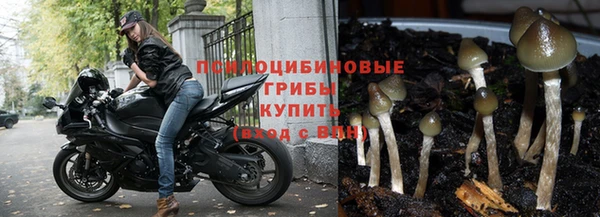 герыч Белокуриха