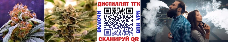 Дистиллят ТГК Wax  Купить где  Микунь 
