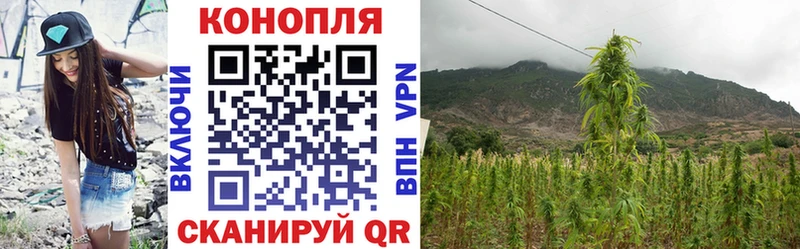 Каннабис SATIVA & INDICA Микунь